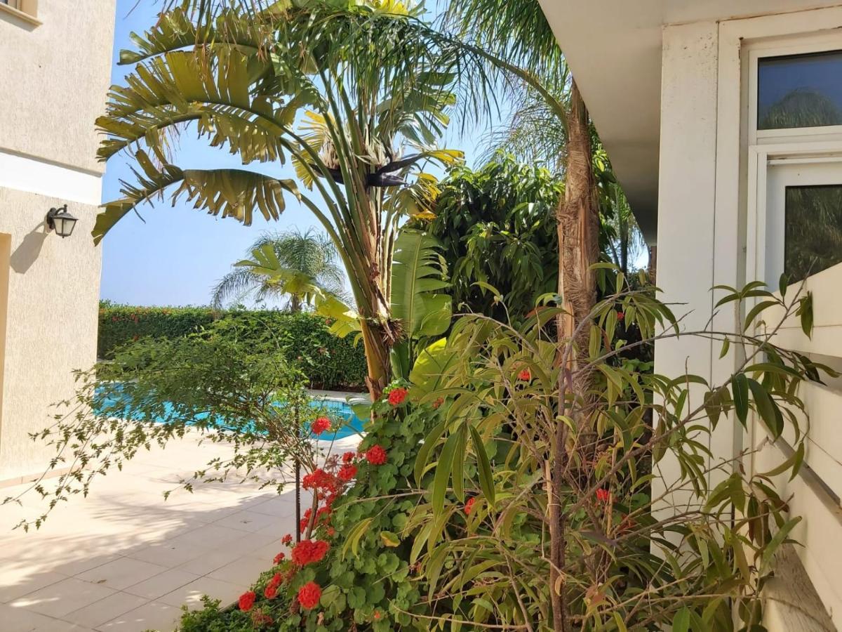 פרוטאראס Anthorina Villa 8 מראה חיצוני תמונה